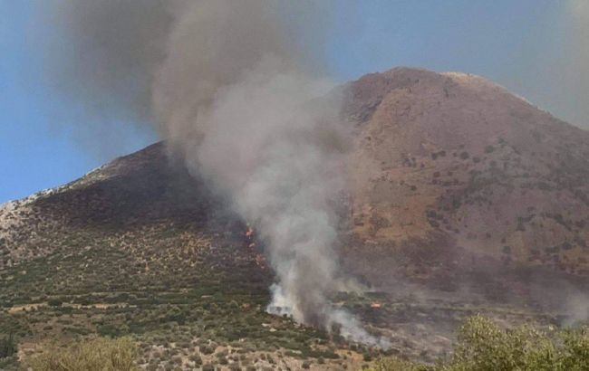 В Греции лесной пожар достиг развалин древнего города Микены, туристов эвакуировали