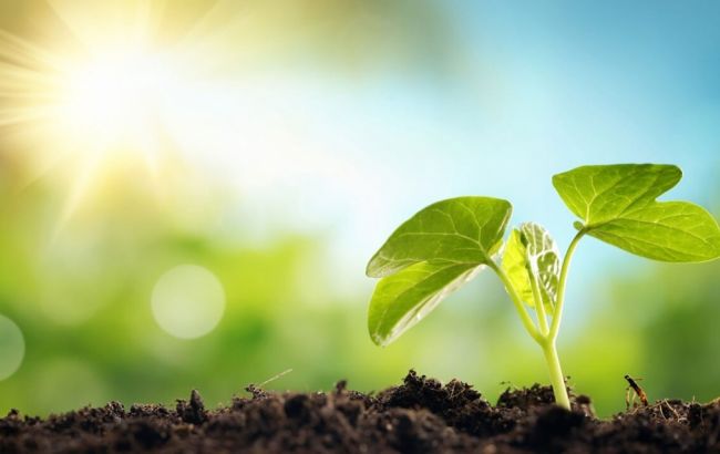 Украина стала единственной в Европе страной без обязательного экомониторинга, - эксперт