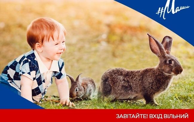 У Києві проведуть еко-ярмарок і великий Family Market для всієї родини