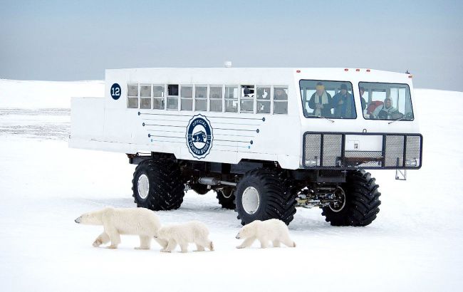 Белые медведи и тишина: туристов в тундре пересадят на уникальные электрические вездеходы