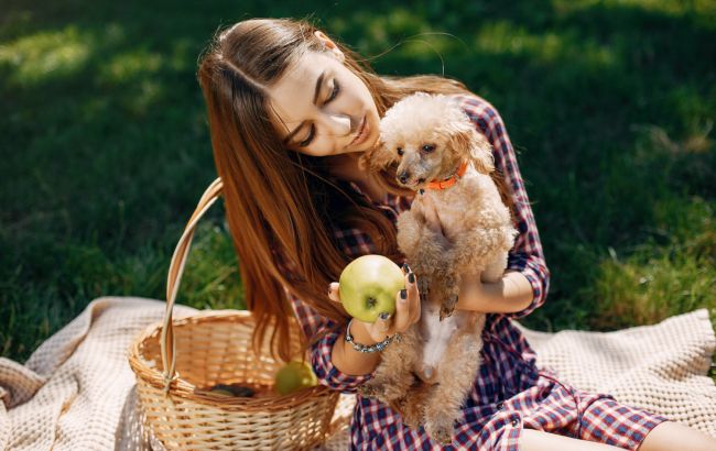 Які фрукти і ягоди можна давати собакам та чим вони корисні: список