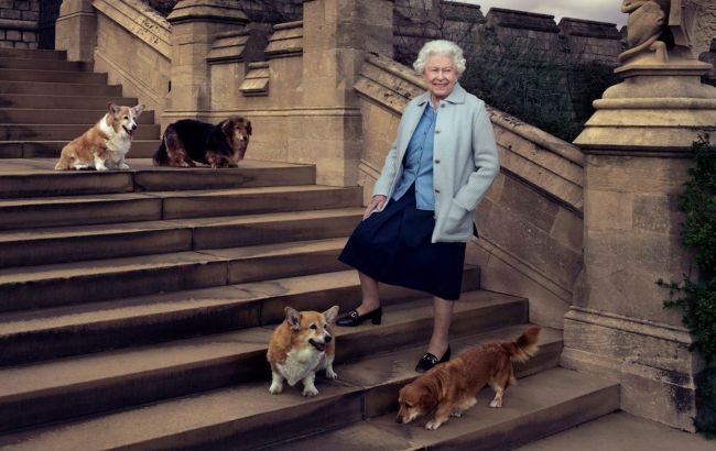 Коргіколон: Єлизавета II запускає парфуми для собак