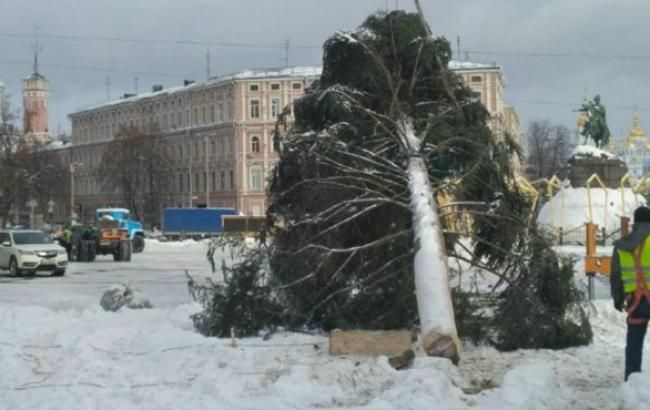 Уже с елкой: журналисты сняли процесс установки гигантского дерева в центре Киева