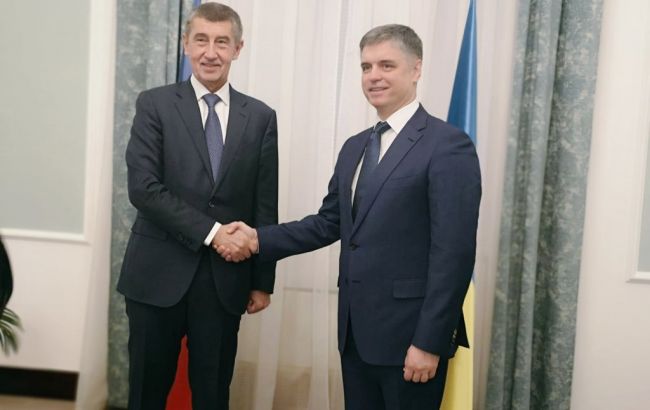 Пристайко и Бабиш обсудили перезагрузку политического диалога