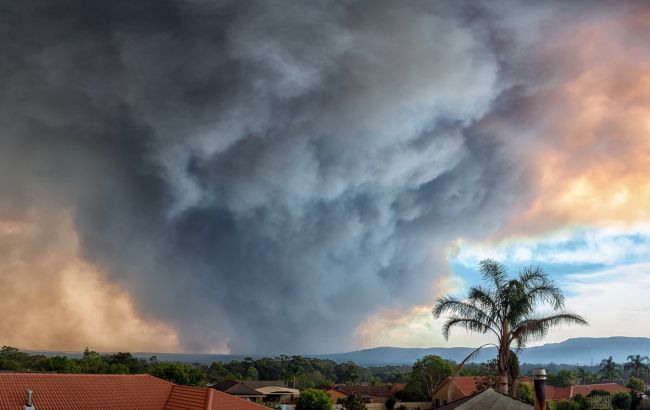 Сильна злива загасила масштабні пожежі в Австралії
