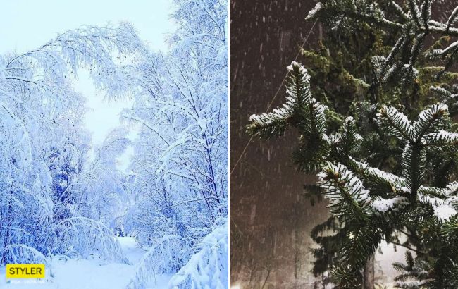 В Україну прийшла казкова зима: на фото потрапили неймовірні пейзажі