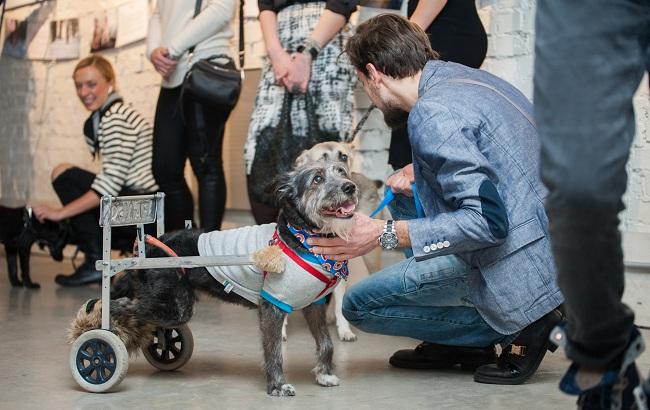 "Чотирилапе alter ego": як у Києві пройшла акція "Art to Help" (фото)