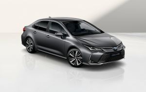 Польша подарит медалистам Зимней олимпиады по автомобилю: названа модель и условия