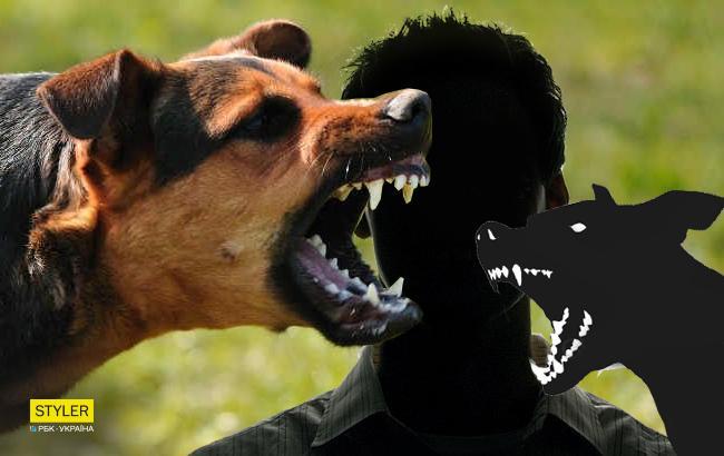 В центрі Рівного лікарі не могли допомогти чоловікові через розлючених бродячих собак