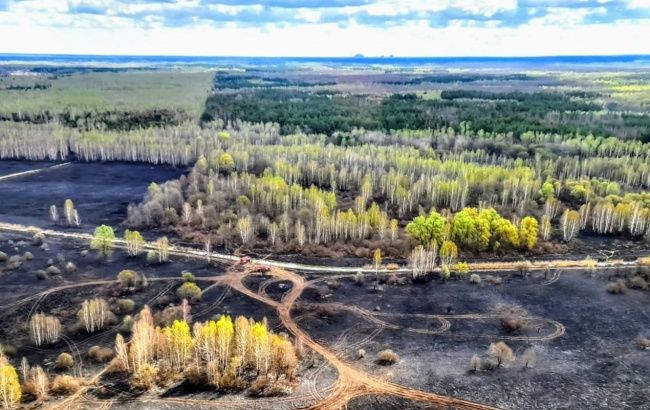 У Чорнобильській зоні ліквідували всі осередки пожежі