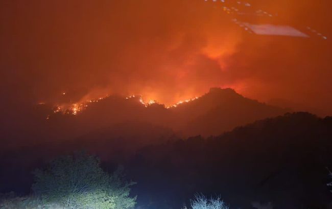 На севере Мексики лесные пожары. Огонь охватил более 7 тысяч гектаров