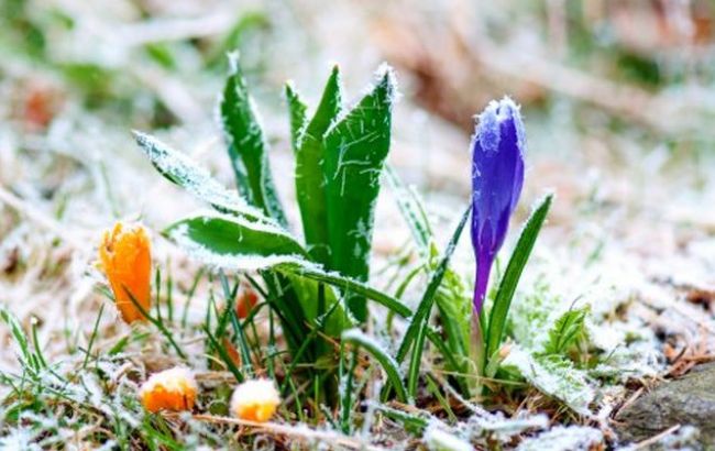 Синоптики предупреждают о заморозках в Украине 9-10 апреля