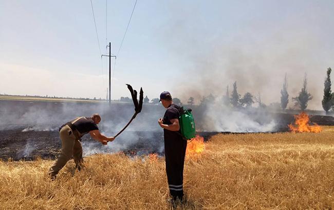 У Львівській області згоріло 20 000 кв. м поля