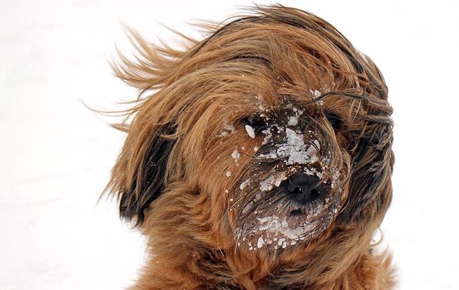 "Не піддавайтеся!": синоптик попередила про погіршення погоди