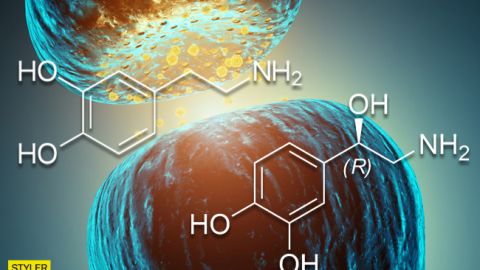Гормоны любви и счастья: Супрун рассказала украинцам, где черпать вдохновение