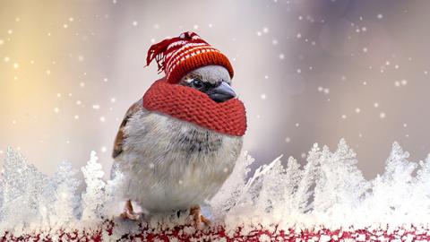 "Затікає холод": синоптик попередила про значне похолодання