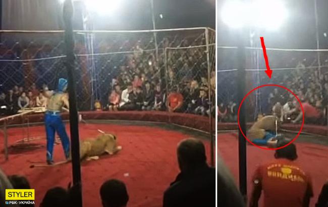 Налякали овації: циркова левиця напала на дитину під час вистави