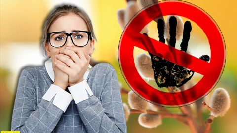 Не починайте важливих справ: астрологи назвали найнебезпечніші дні у квітні