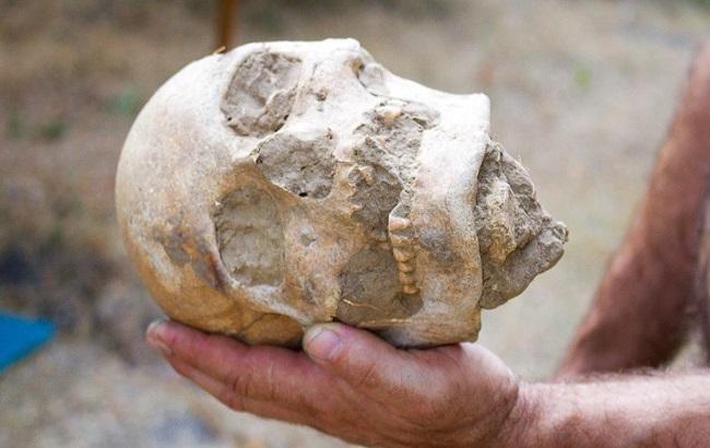 Черепа и кости: на Хортице нашли древний культовый комплекс