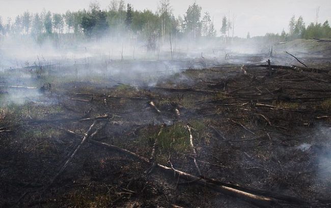 В Киевской области продолжают гореть 7,7 га торфяников, - ГСЧС