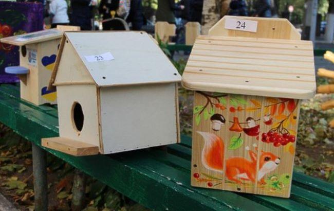 Киевские белки будут жить в креативных домиках