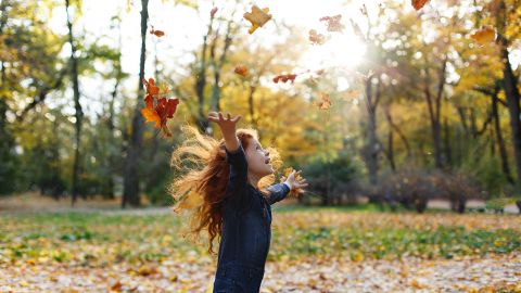 Канікули в Україну в 2020-2021 навчальному році: повний графік відпочинку школярів