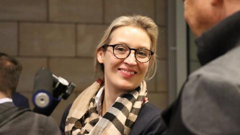 У Німеччині прокуратура відкрила справу проти лідера ультраправої партії