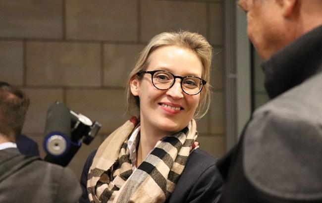 У Німеччині прокуратура відкрила справу проти лідера ультраправої партії