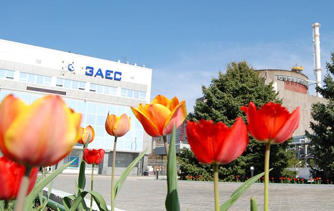 Рада ратифікувала зміни до угоди з ЄІБ про будівництво повітряної лінії Запорізька АЕС - Каховська