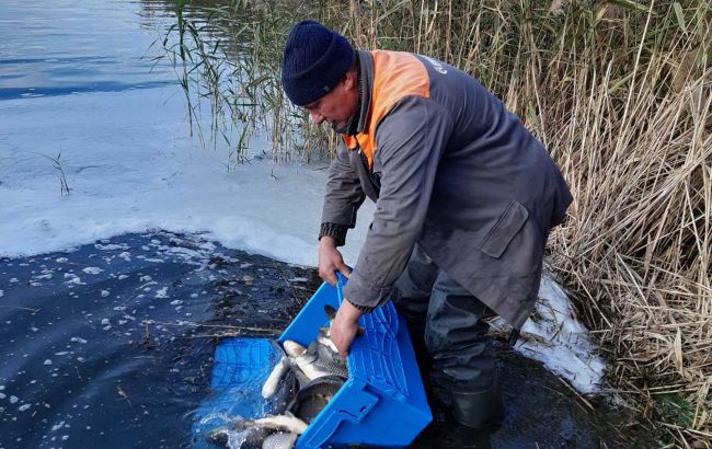 Полиция Полтавской области открыла более 60 уголовных дел против браконьерства рыбы