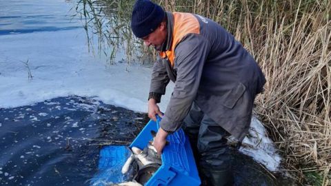 Полиция задержала браконьеров, изъято рыбы почти на 1,7 млн гривен