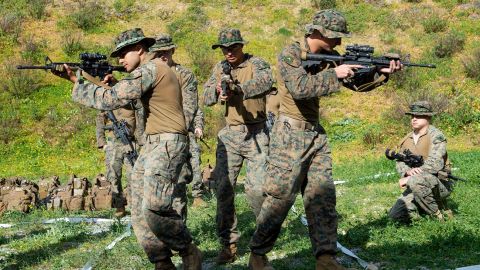 США відновлюють військові навчання на сході Європи