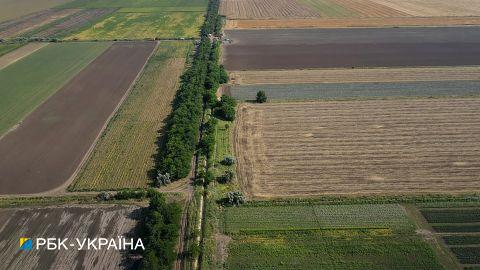 НБУ оцінив ефект від рекордного урожаю на економіку України