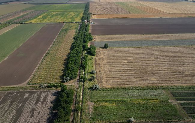 В Україні вже продано майже 120 тисяч гектар: перші результати ринку землі