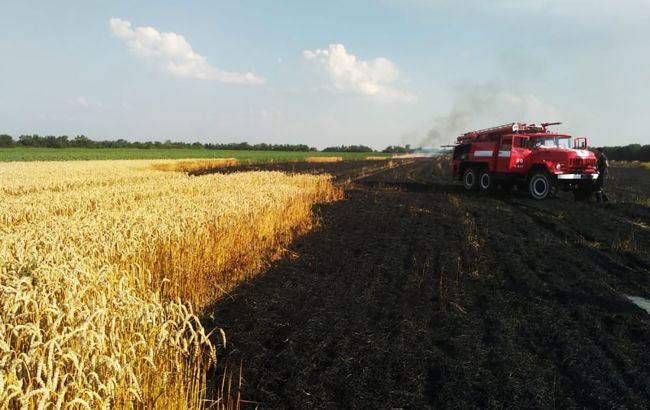 В Черниговской области в результате пожара сухой травы погиб человек
