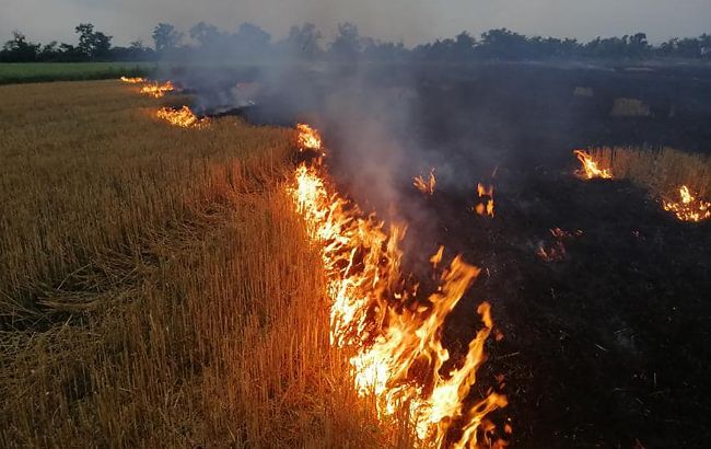 Не затронет только четыре региона: по всей Украине объявили пожарную опасность