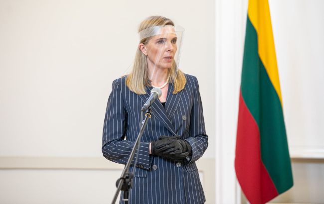 Литва начала платить мигрантам за возвращение на родину