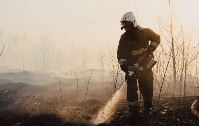 Лісові пожежі в Росії охопили понад 1 млн гектарів. Режим НС ввели у восьми регіонах