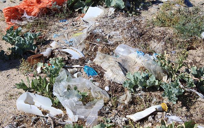 "Не сезон-2018": поражающие фото "убитого" пляжа в Крыму