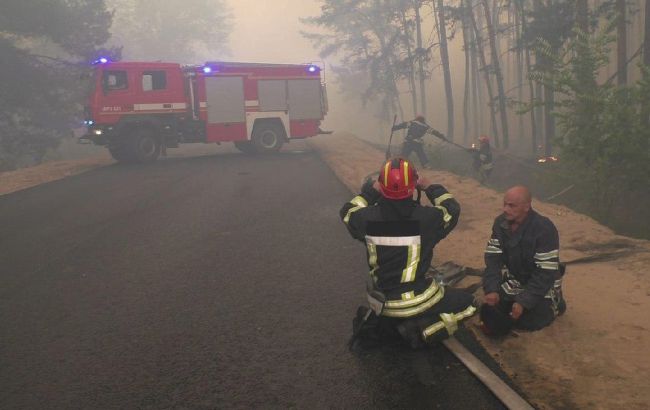 Лісову пожежу у Луганській області локалізували