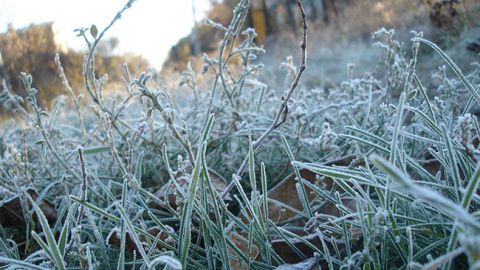 Погода на сегодня: дожди в Украине уступят место заморозкам