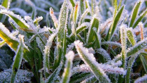 Завтра в Україні похолодає