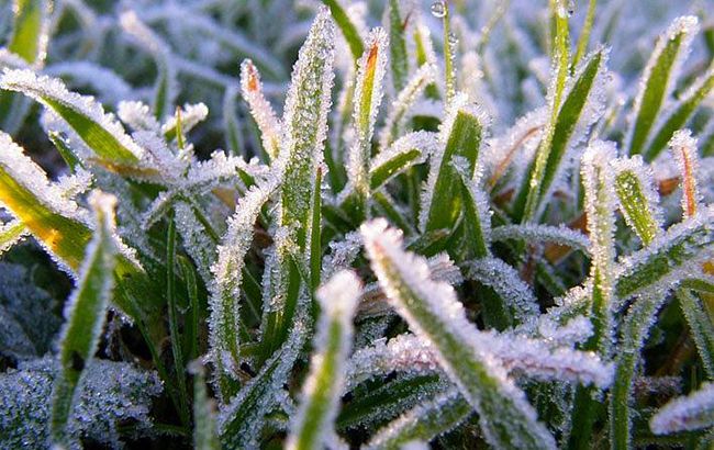 Синоптик предупредила о заморозках в Украине