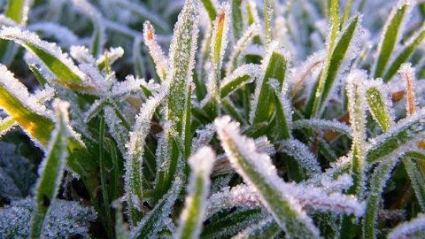 До України повертаються сніг і заморозки