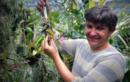 Будет ли цвести сирень и азалии? В Ботсаду Гришко рассказали о последствиях критической зимы