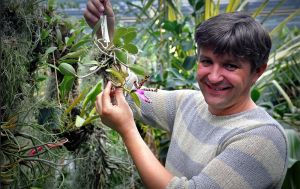 Чи цвістиме бузок та азалії? У Ботсаду Гришка розповіли про наслідки критичної зими