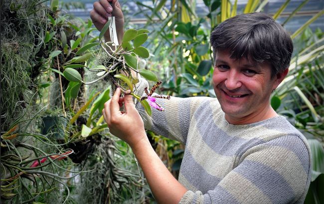 Будет ли цвести сирень и азалии? В Ботсаду Гришко рассказали о последствиях критической зимы