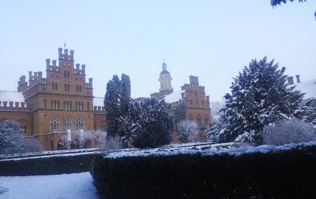 Черновицкий национальный университет переходит на онлайн-обучение: названа дата