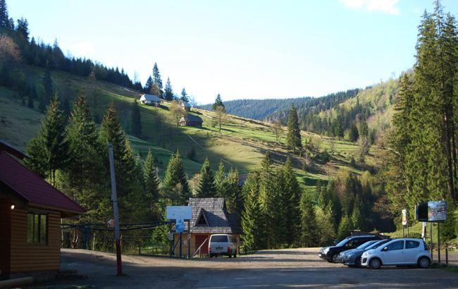 "Моральное удовлетворение": на Закарпатье семья покинула город, чтобы заняться зеленым туризмом в горном селе