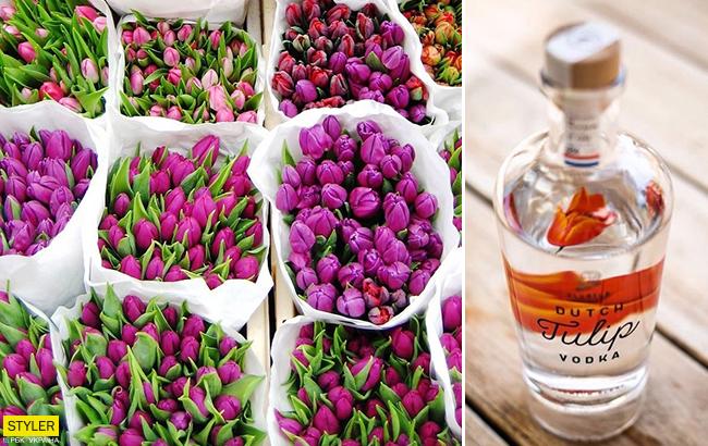 Відомий голландський режисер винайшов горілку з тюльпанів